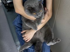 -瑞派宠物医院·犬猫全科·猫友好(宾水西道店)