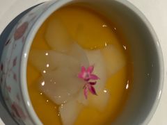 -觀芷隐轩