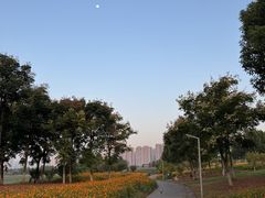 -洋湖国家湿地公园