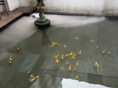 -觀芷隐轩