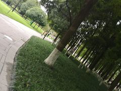 -温江公园
