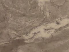 -华夏良子·足道SPA艾灸(王府井店)