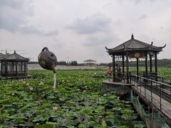 -卧龙湖