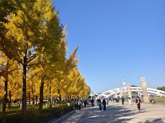 -石家庄市植物园