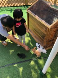 -萌宠亲子动物乐园(槐房万达店)