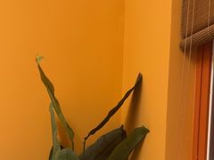 -美泰·Mangothai·清迈云街(天空之城店)