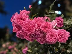 -径山十八道·风味民间菜(华夏之心店)