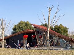 -上海山野camping·户外天幕烧烤·团建拓展营地