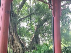 -乌山风景区