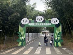 -都江堰中华大熊猫苑