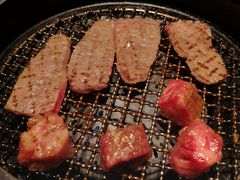 -东京烧肉 平城苑(银座５丁目店)