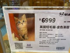-龟与熊猫宠物公园(南坪店)