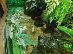 -太平洋海底世界