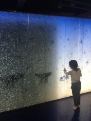 点击看大图 -幻贝家儿童乐园(武汉永旺梦乐城店)