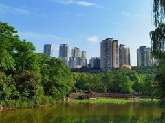-龙头寺公园