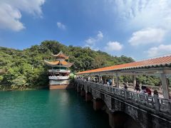 -鼎湖山风景区