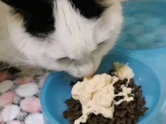 -乐琪宠物医院·犬猫专科·骨外科·急重症