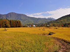 -塔川景区