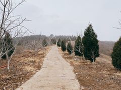 -玉龙湾滑雪场