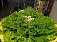 -食潮汕头鲜牛馆(望京保利店)
