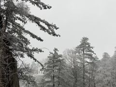 -洛阳白云山景区
