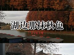 -溱湖国家湿地公园