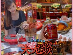 -大龙燚火锅(天钥桥路店)