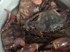 -韩家墅海吉星农产品批发市场