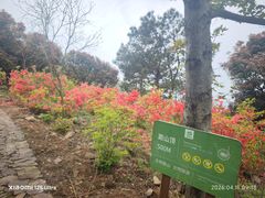 -缥缈峰景区