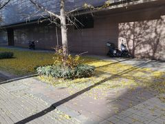 -天天渔港(杏林街店)