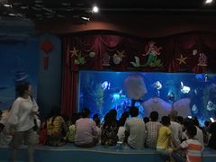 -台州海洋世界
