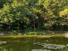 -深圳国际园林花卉博览园