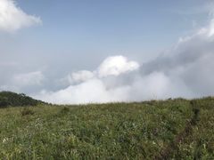 -白草畔自然风景区