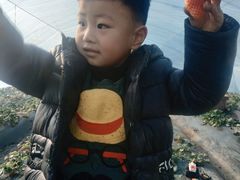 -百果山乐享果玩