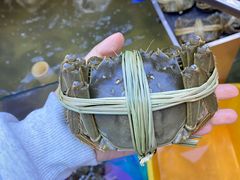 -蟹天蟹地农家菜·阳澄湖大闸蟹(浅水湾店)