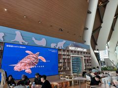 -抱抱地球咖啡馆(国家海洋博物馆店)