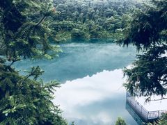 -醉美东江·三文鱼