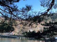 -庐山风景区花径公园