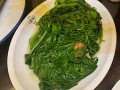 -吴记富苑(朝阳店)