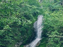 -西安祥峪森林公园