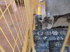 -青春加萌照相馆