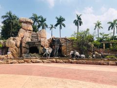 -美的鹭湖探索王国