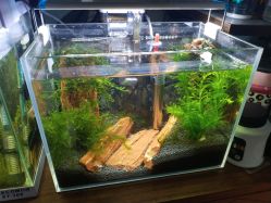 -椿树下·Tattoo纹身工作室