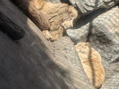 -南昌动物园