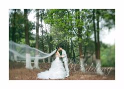 106影像婚纱摄影机构-费拉摄影(天廊T66店)