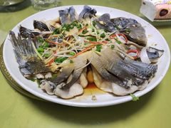 -煲来饱去冷水鱼
