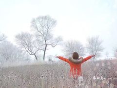-雾凇岛