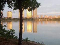 -艾溪湖湿地公园
