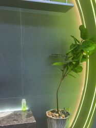 -不迫先生专业男士剪发