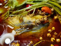 -味之绝美蛙鱼头火锅(高新店)